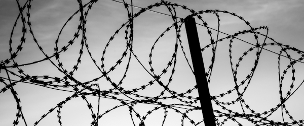 Barbed Wire